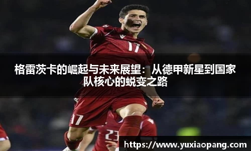 leyu乐鱼新版本